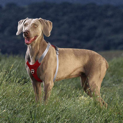 Dog Harness Vest